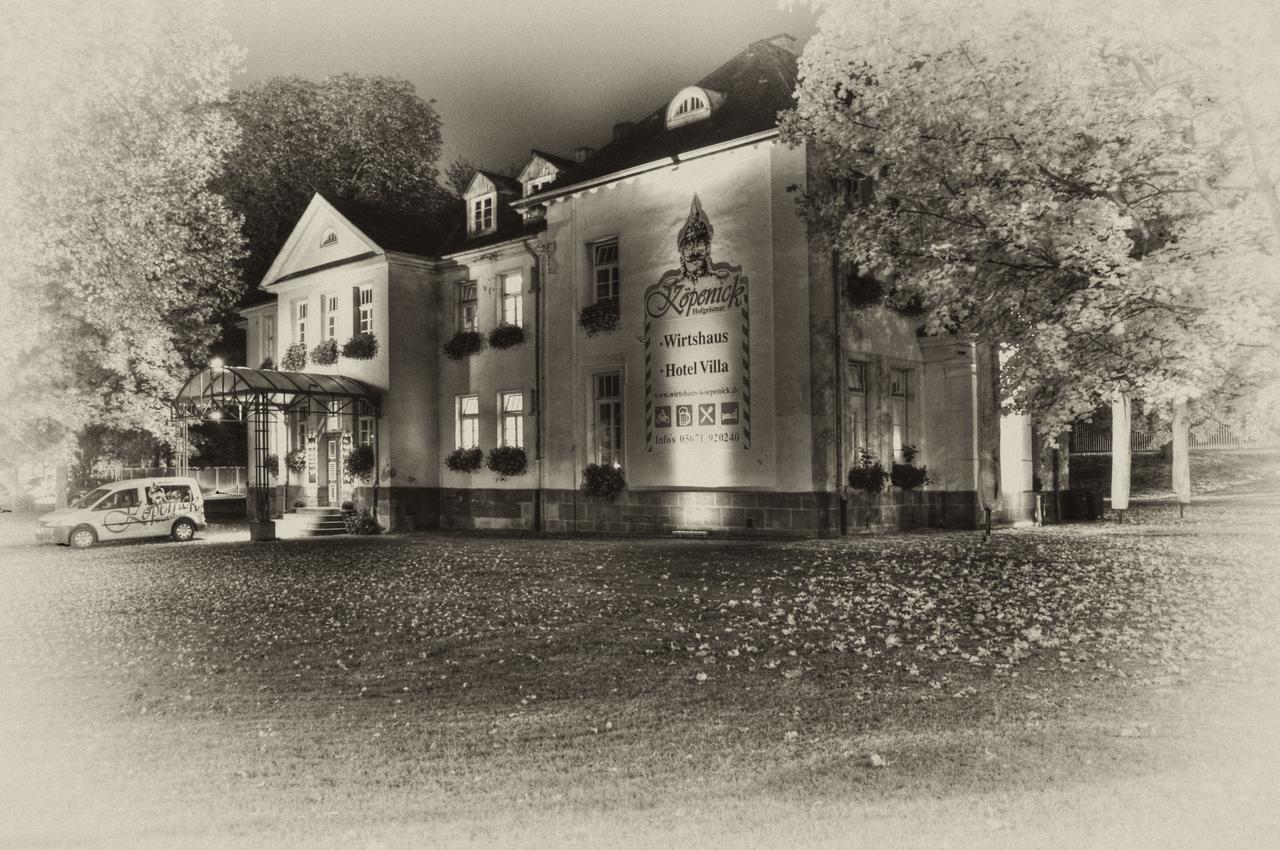 Hotel Villa Wirtshaus Koepenick Hofgeismar Zewnętrze zdjęcie
